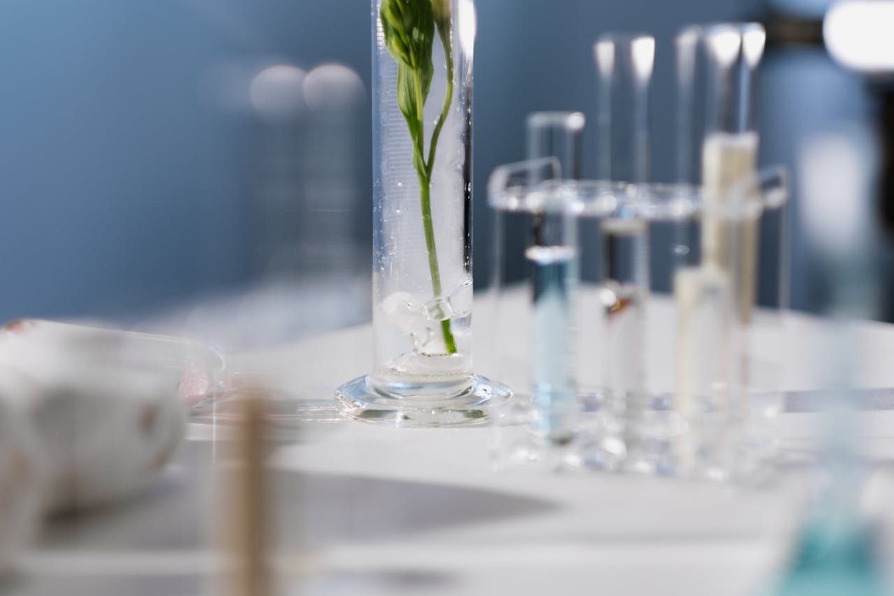why-choose-us A detailed shot of test tubes and a plant stem in a lab environment, highlighting scientific research.