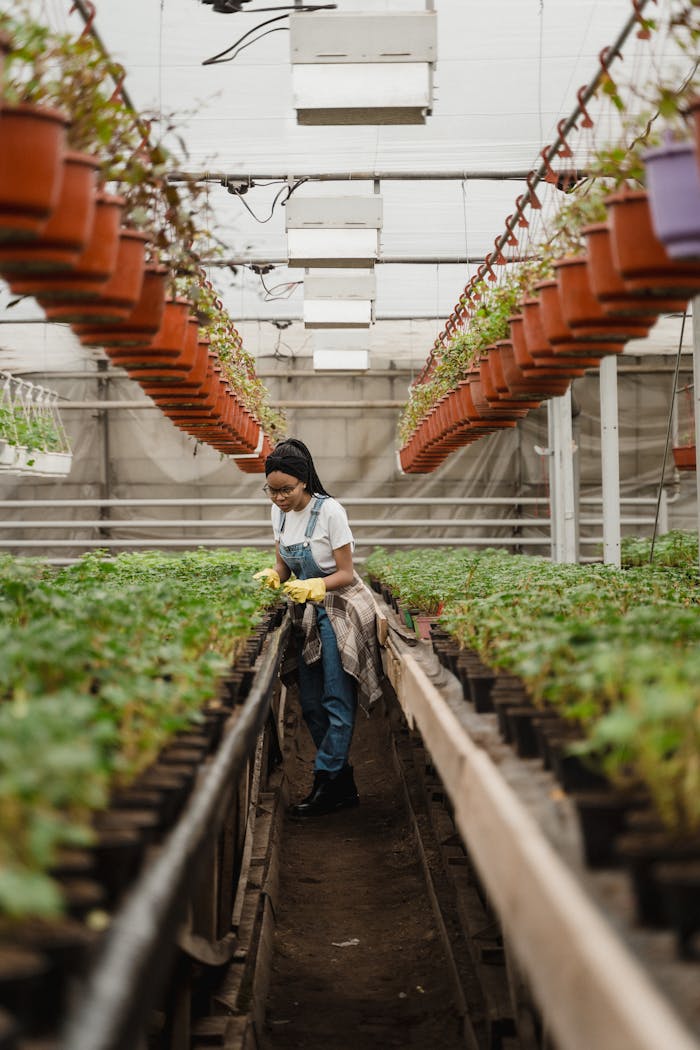 A horticulturist caring for plants in an indoor greenhouse with hanging pots and lush greenery.