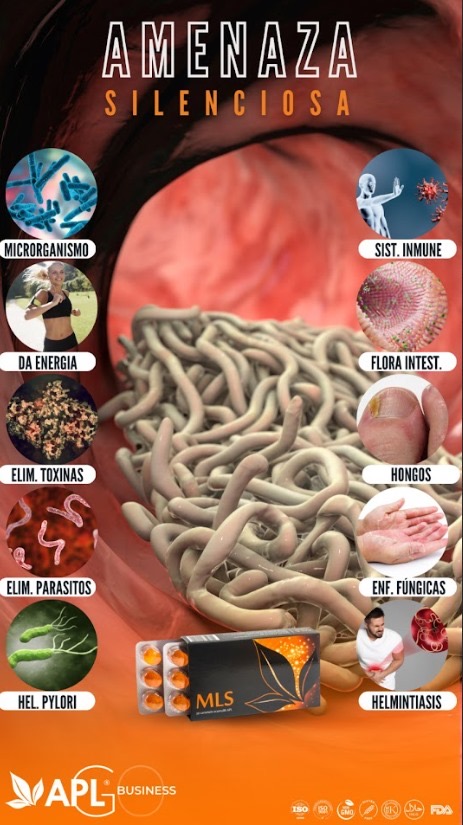 amenazas de salud apl maria holguera