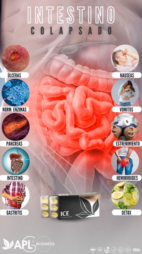 intestinos apl maria holguera